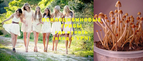 спайс Лабытнанги