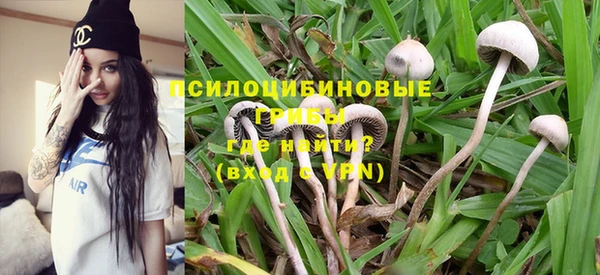 дурь Лагань