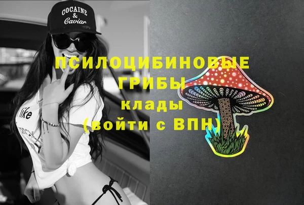 спайс Лабытнанги