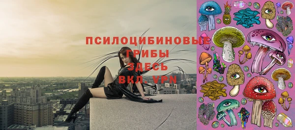 спайс Лабытнанги
