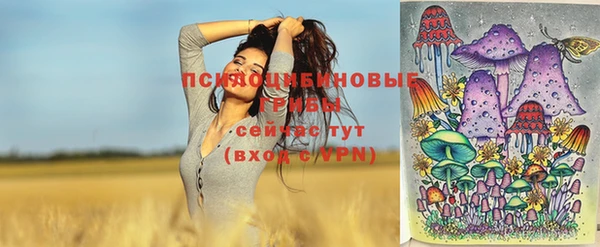 круглые Ладушкин