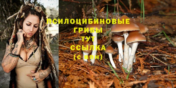 дурь Лагань